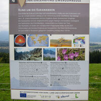 Zwergohreulenwanderweg