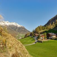 Moosalm Sommer