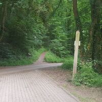 18_hx_zbih_wegnachfuerstenberg_stephanberg.jpg
