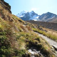 Blick auf den Piz Roseg