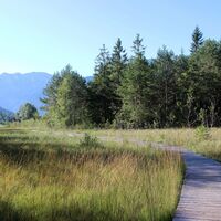 Steg durch das Pfrontener Moor