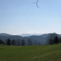 Türnitzer Höger