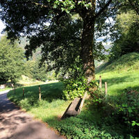 Spaziergang "Wildgehege" in Zell im Wiesental