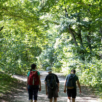 Weg hinauf zum Kalten Feld