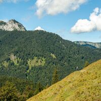 Weg zu Gaißalm