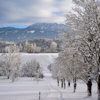 Winterwandern am Reintalersee in Kramsach