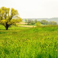Fernblick ins Heuvelland bei Hombourg