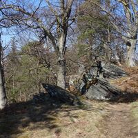 am Weg zur Buschandlwand