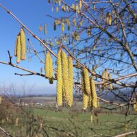 Remptendorf - Ruhteich - Friesauer Hügel