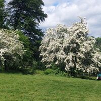 Anstieg zum Schollerbuckel