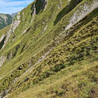 Diese steile Grasbüschel muss man erklimmen, um zum Habartsattel bzw. Meileskarsattel zu kommen.