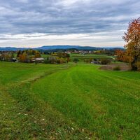 Blick auf den Jauerling und Neukirchen