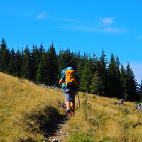 Niederalpl - Hohe Veitsch - Seewiesen