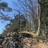 Auf dem Gösser, Oststeiermark