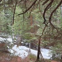3.9 km Waldpfad