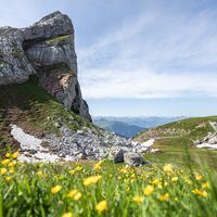 Schweizer Tor
