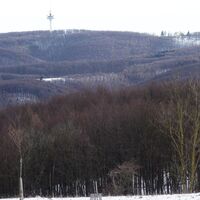 Ausblick bei der Windischhütte zum Exelberg