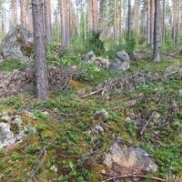 Vilkahaharju Naturpfad