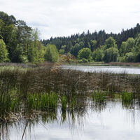 Markgräfinweiher