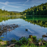 Inzell sommer natur _7