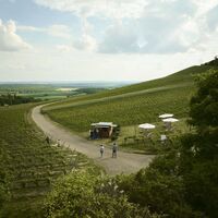 Ausschenk mit Aussicht – Weinerlebnis im Hügelland