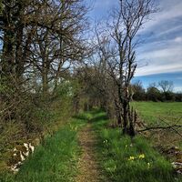 Single-Route ab Contrevoz