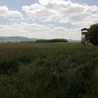 Blick vom Limesturm zur den Kaiserbergen