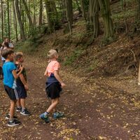 Lernen und Erleben auf dem Wald-Abenteuer-Pfad Station 10 Zapfenstreich
