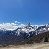 Incrocio Cotolivier - Pourracet