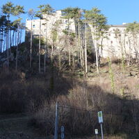 Abstieg vom Schloss Stixenstein