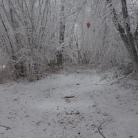 Winterlandschaft am Weg Richtung L7110