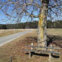 Wanderung rund um Burglemnitz