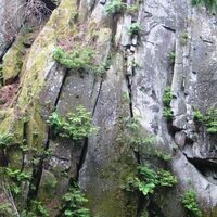 Kalksteinklippen unterhalb der Preußischen Velmerstot