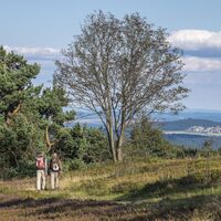 Wanderer in der Heidelandschaft