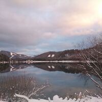 Blick auf den See