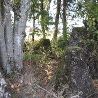 Höckerlinie bei Ormont