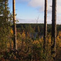 AATE-PEKKA-PFAD