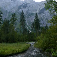schlussendlich beim Gasthof Bärenwirt angekommen und zurück geradelt