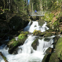 Aufstieg im Höllbachtal.