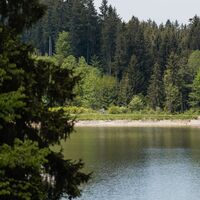 Radeln am Kögelweiher