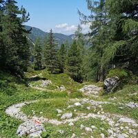 Wanderweg hinab nach Hallstatt