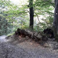 Kovačkova-Topf von Kropa nach Jamnik