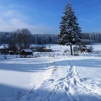 Alm bei Lemnitz