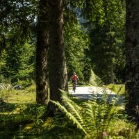 Durch den Nationalpark Berchtesgaden zum Hirschbichl