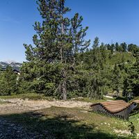 20260713_Sommer_5377.jpg