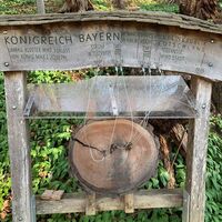 Walderlebnispfad Lärchenwald Tegernsee