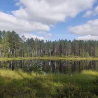 Die schönen Landschaften entlang des Flechtenpfads von Huutoniemi.