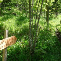 weitere Variante Aufstieg Sauwand