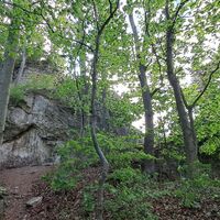 bei der Ruine Arnstein