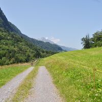 Die Lichtung Raischibli